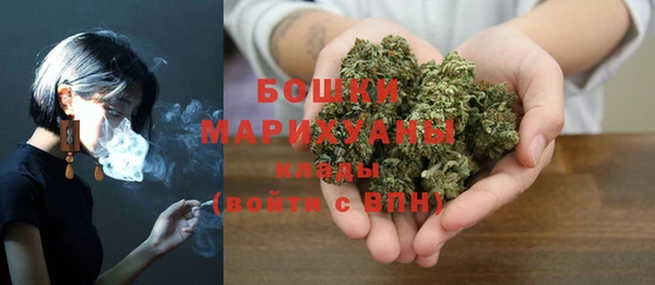 крисы Ладушкин