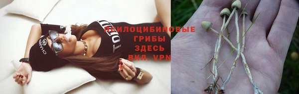 Альфа ПВП Лабытнанги