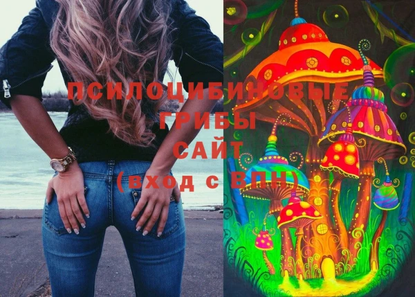 крисы Ладушкин